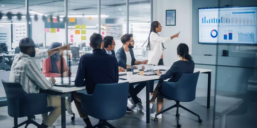 Project Manager Role